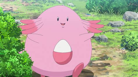 chansey bulbapedia